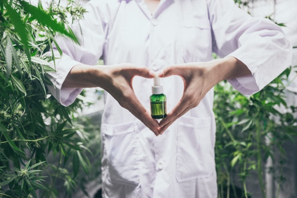 CBD hemp oil, Hand holding bottle of Cannabis oil against Marijuana plant. Herbal Treatment